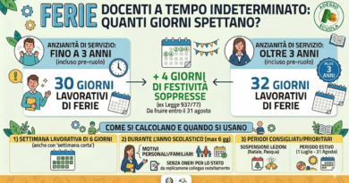 Ferie Docenti a Tempo Indeterminato: Guida Completa su Diritti, Calcolo e Modalità di Fruizione |Scheda in allegato|